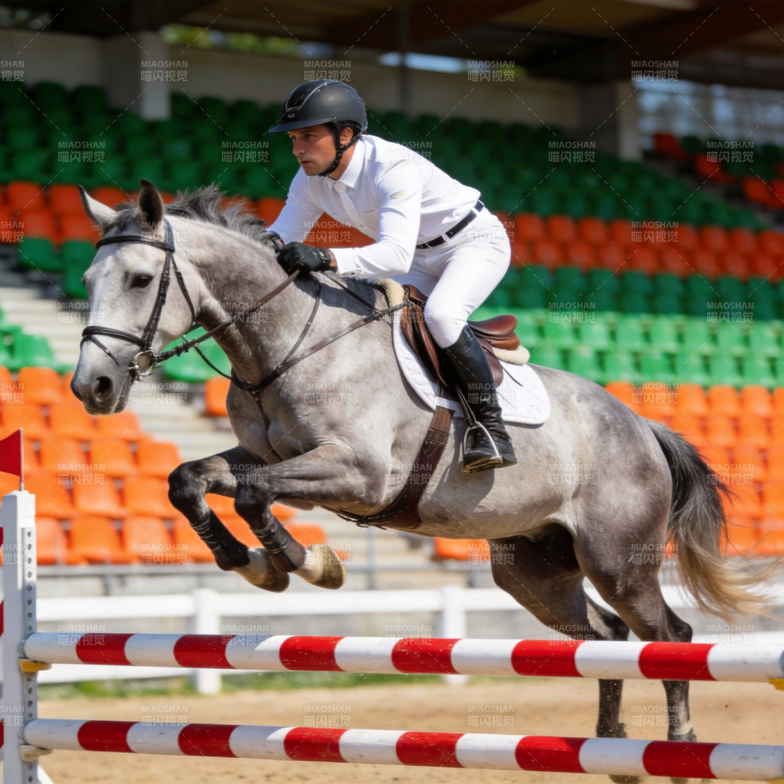 骏马飞跃障碍图片