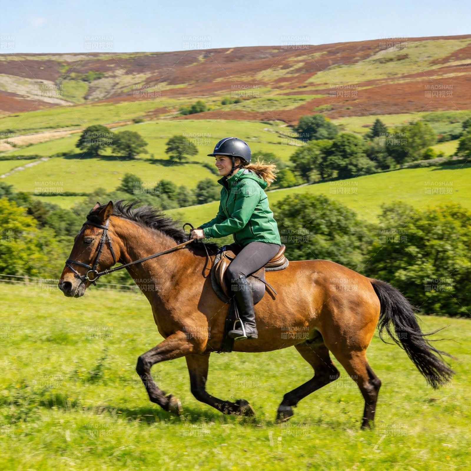 骑马驰骋绿野间图片