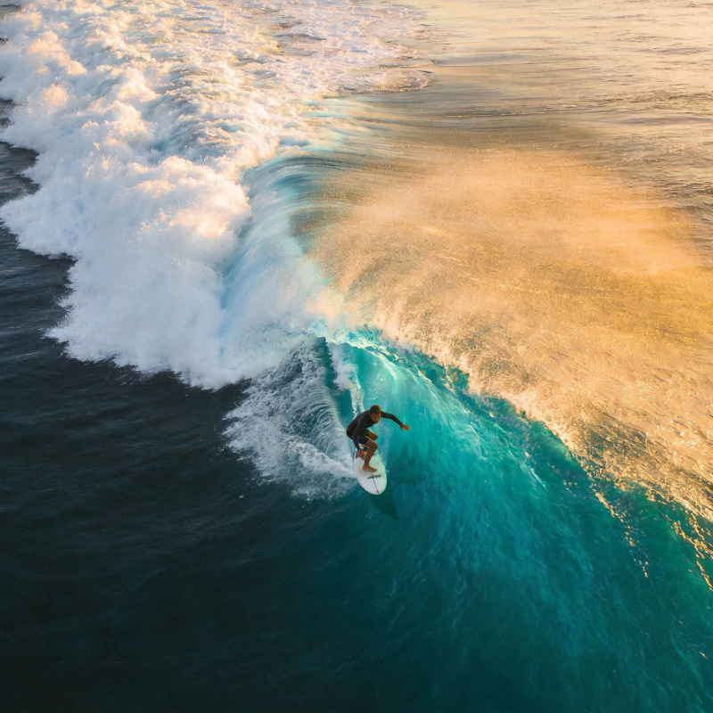 浪尖上的舞者图片