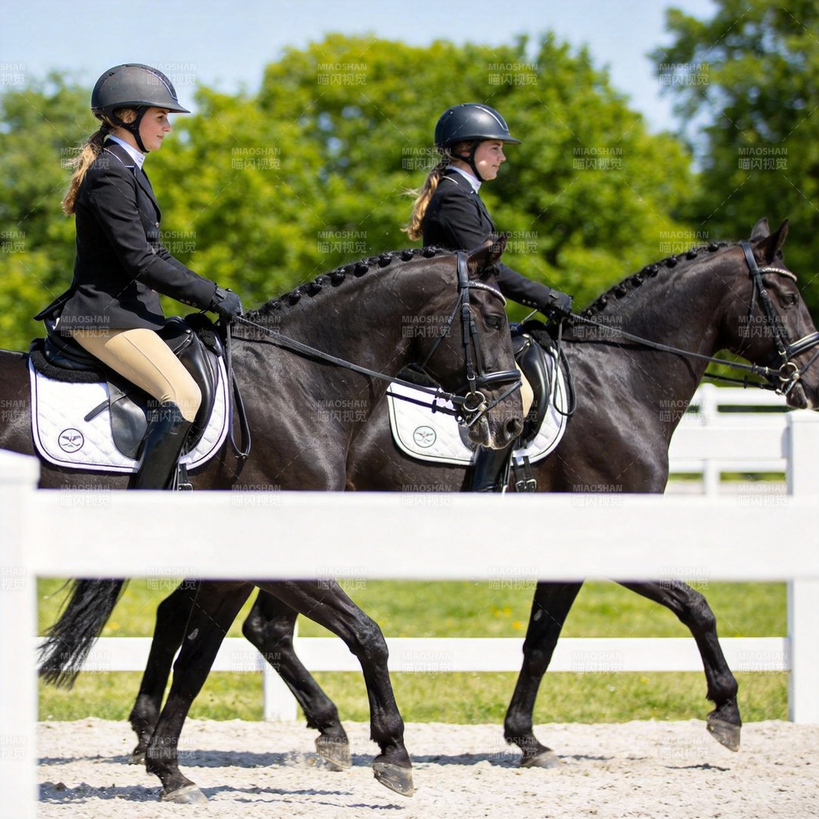 马术竞技瞬间图片