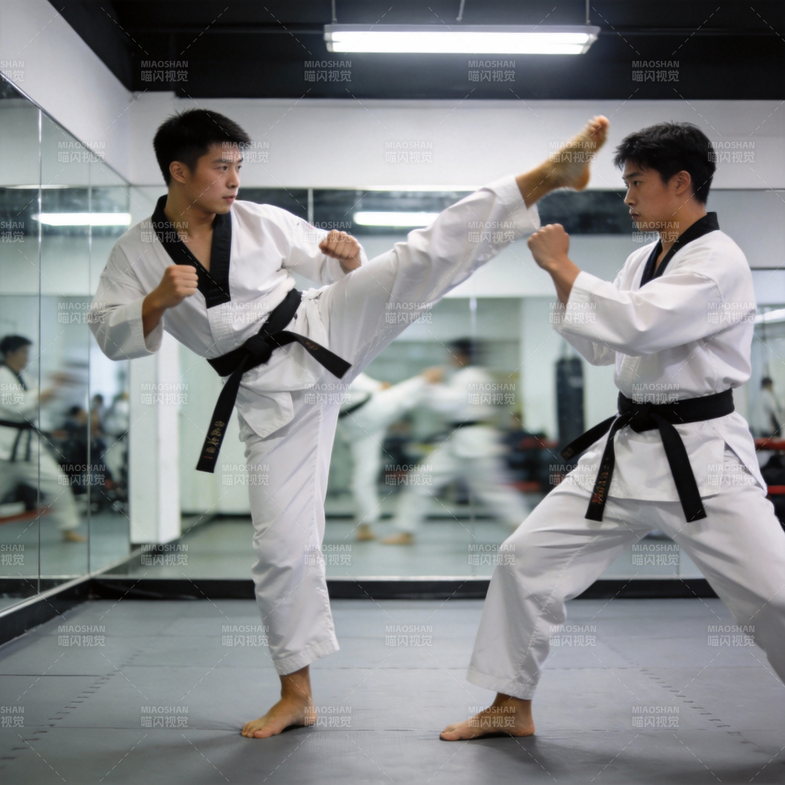 跆拳道对练图片