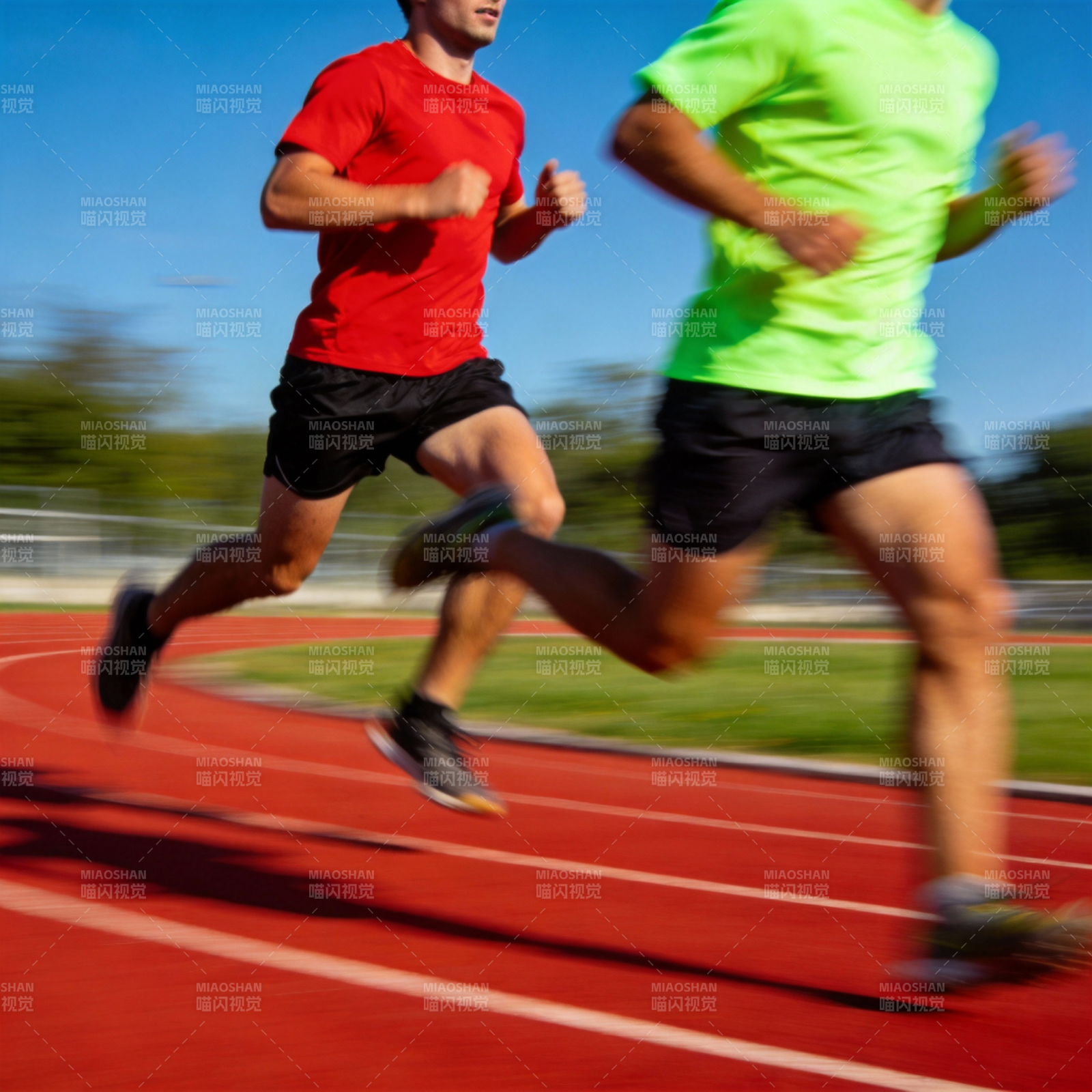 赛道上的速度对决图片