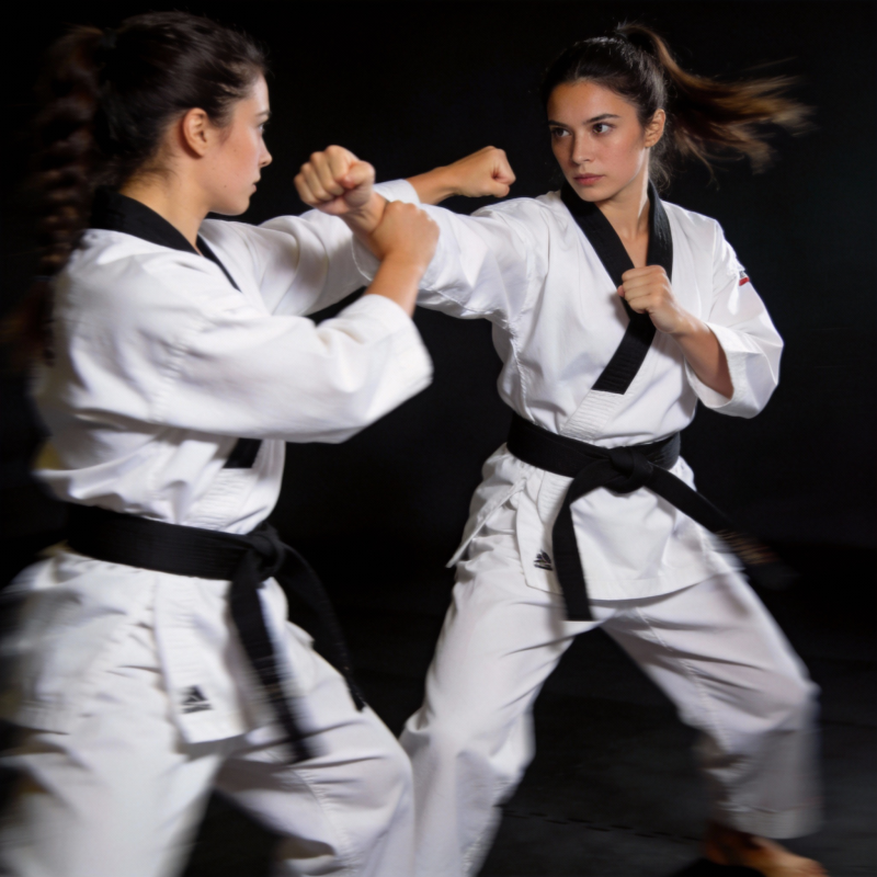 双女空手道对决图片