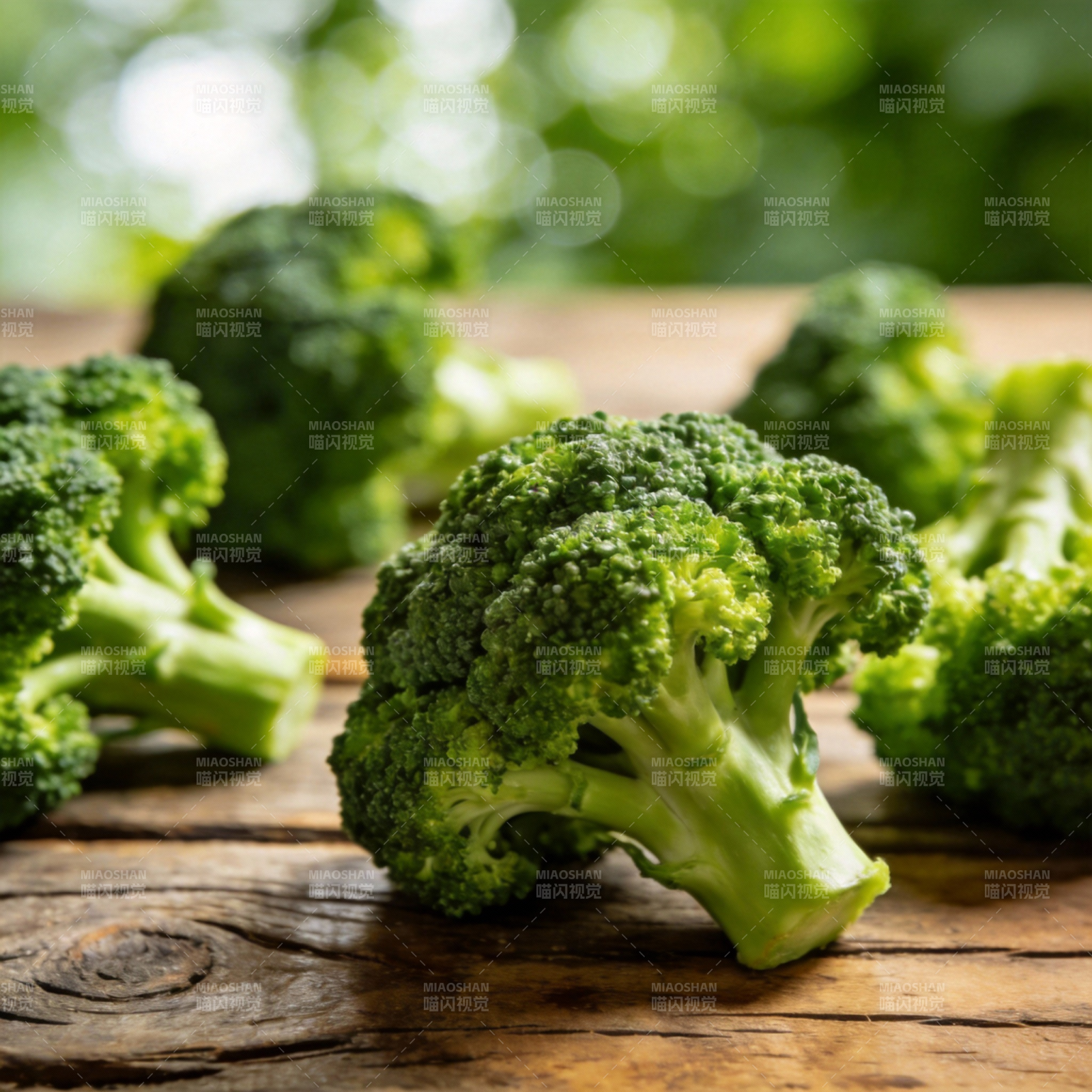 新鲜西兰花特写图片