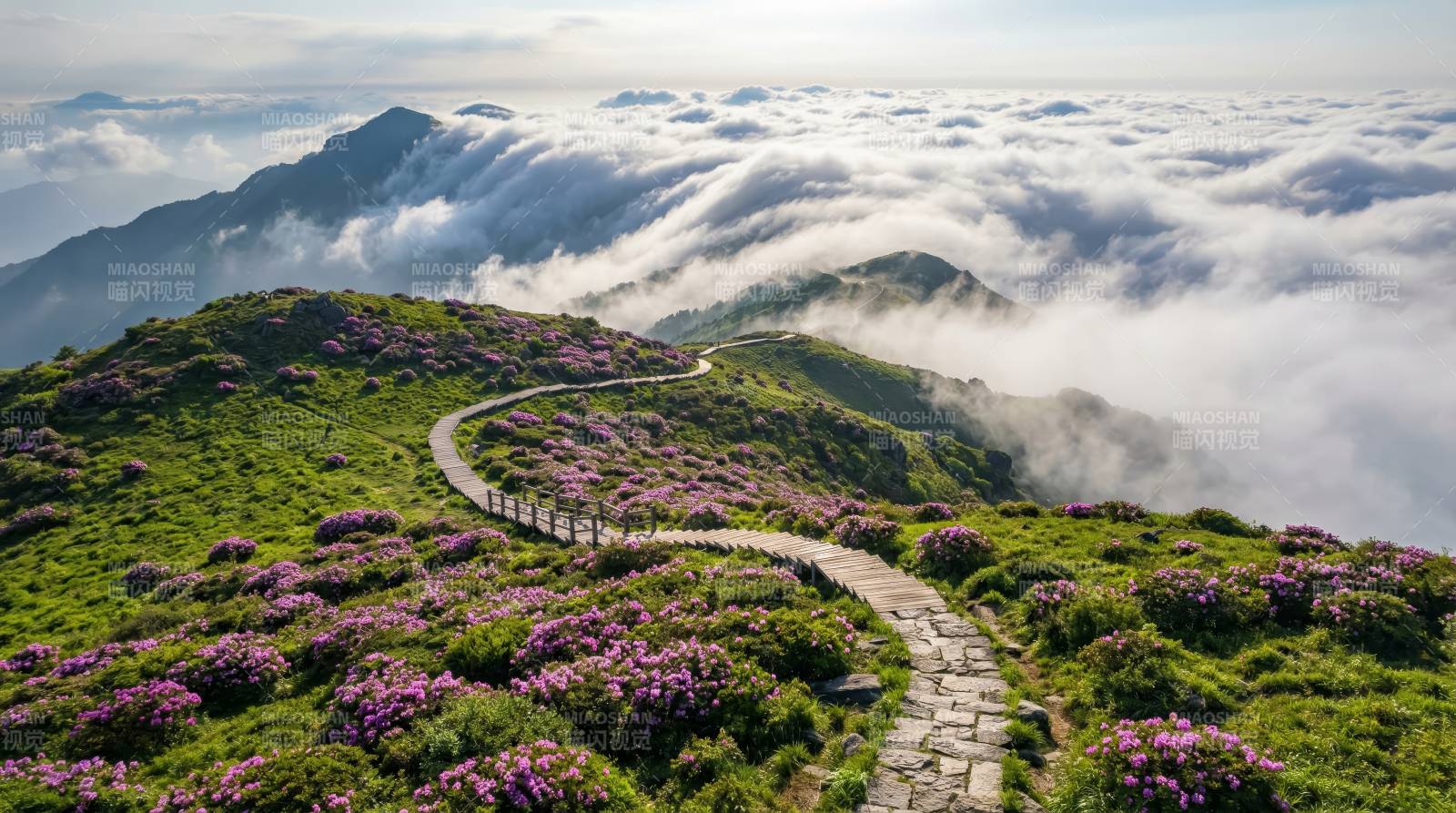 云海花径图片