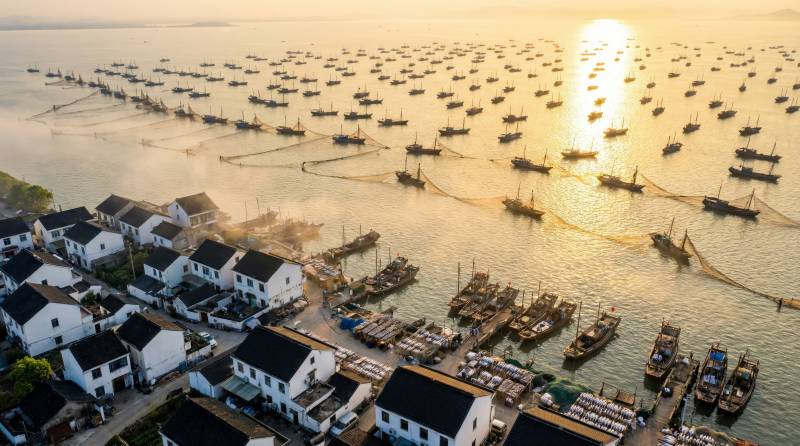 渔村晨曦 千舟竞发图片