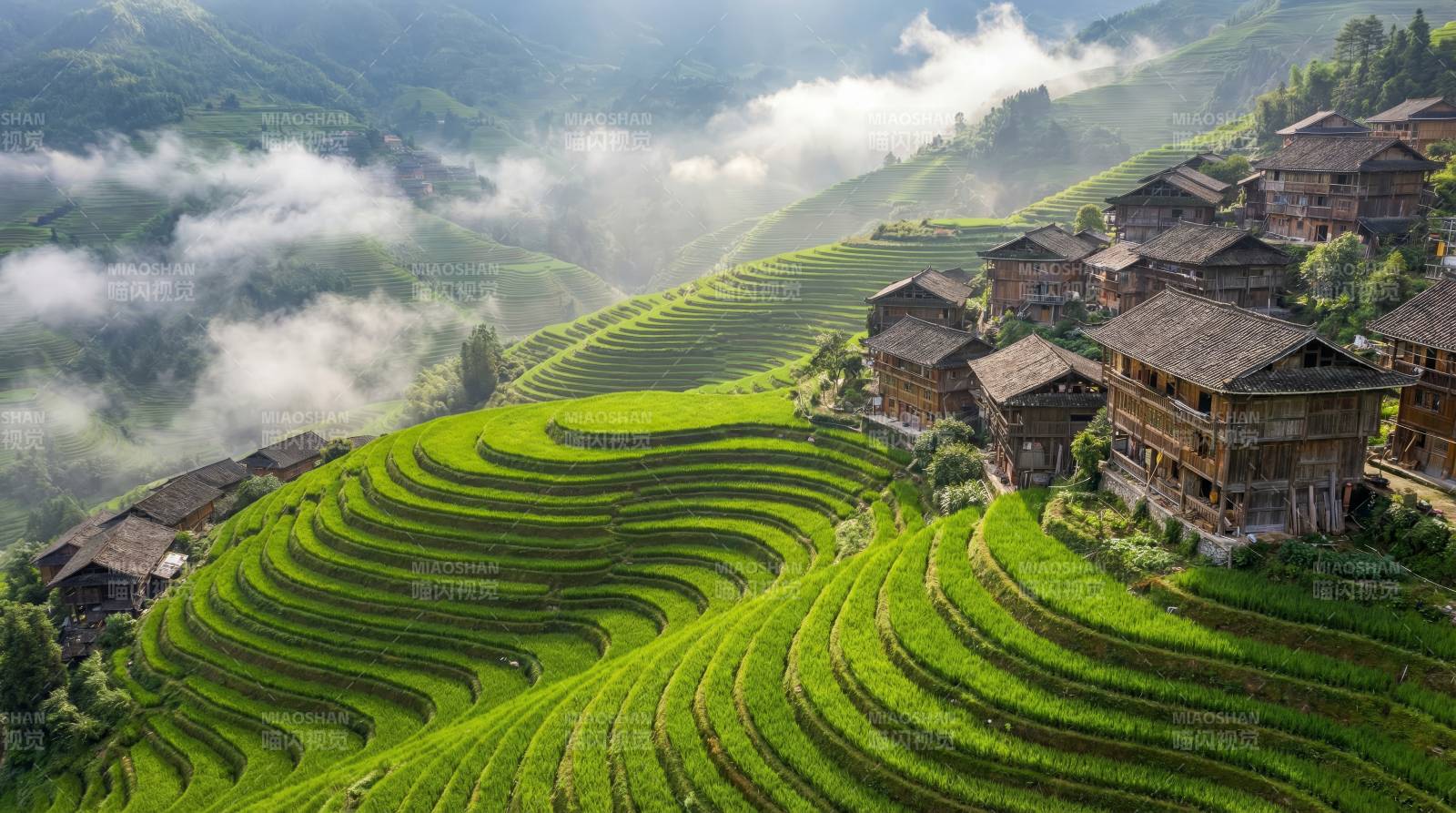 梯田云雾缭绕图片