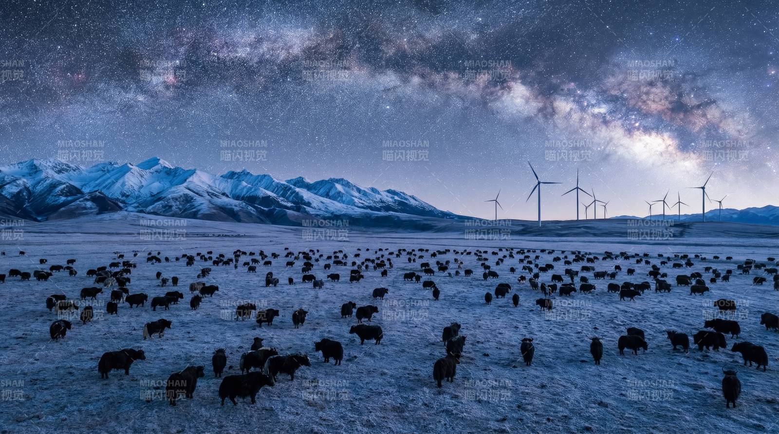 雪原夜牧星河图片