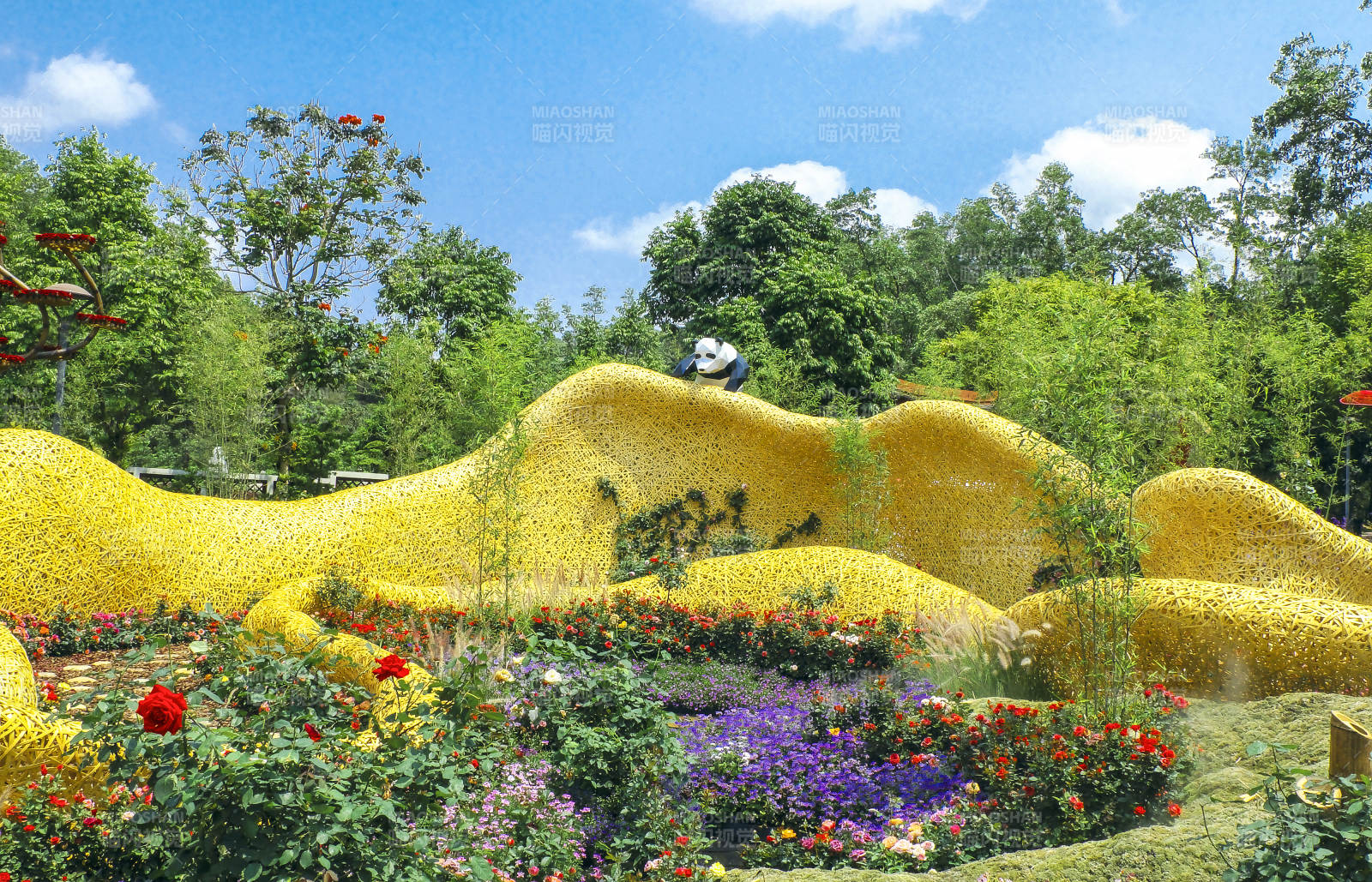 深圳仙湖植物园花海奇境图片