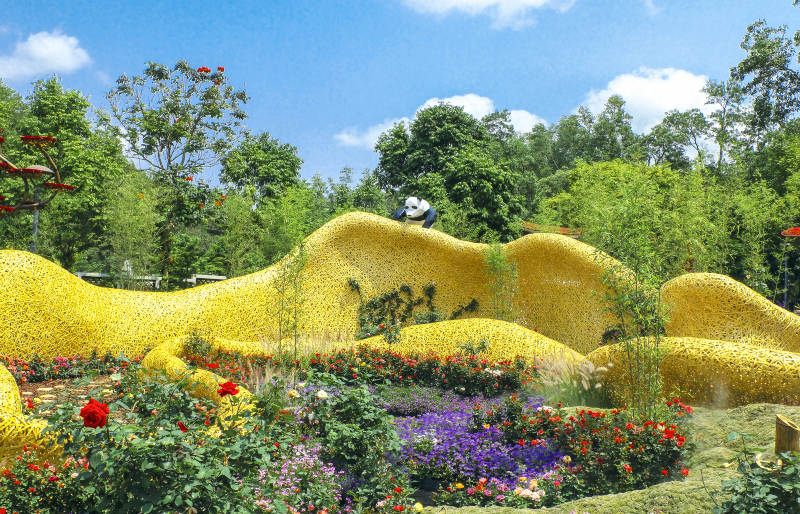 深圳仙湖植物园花海奇境图片