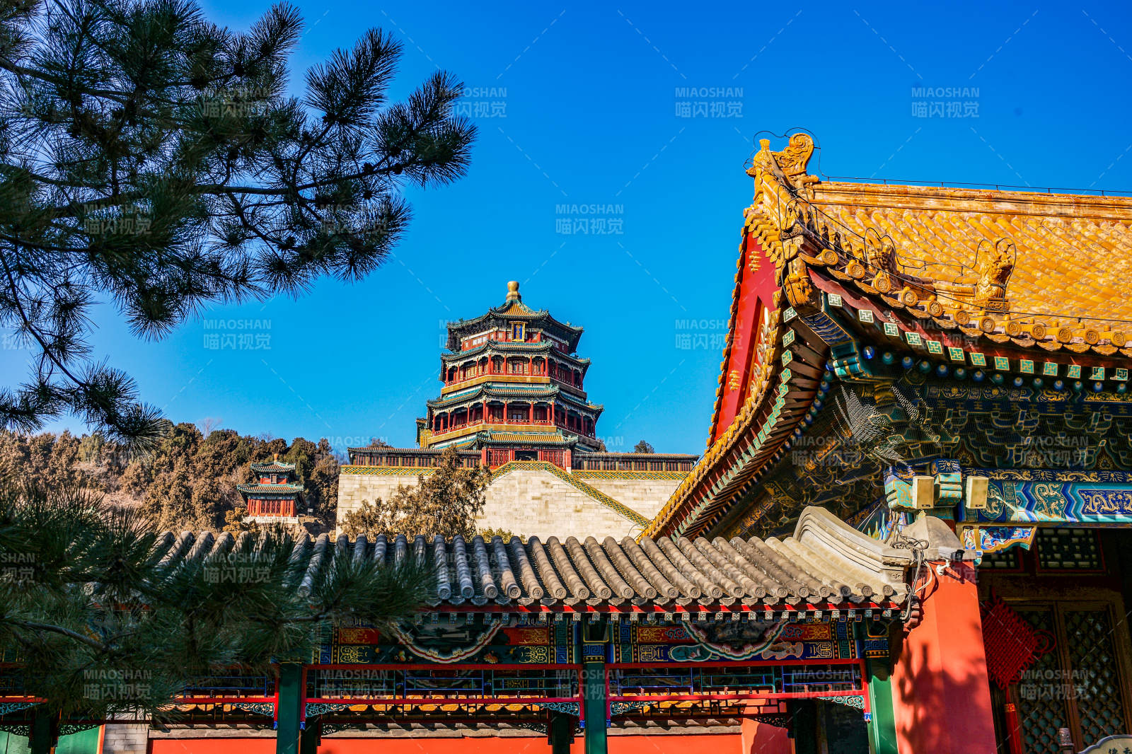 颐和园 佛香阁图片