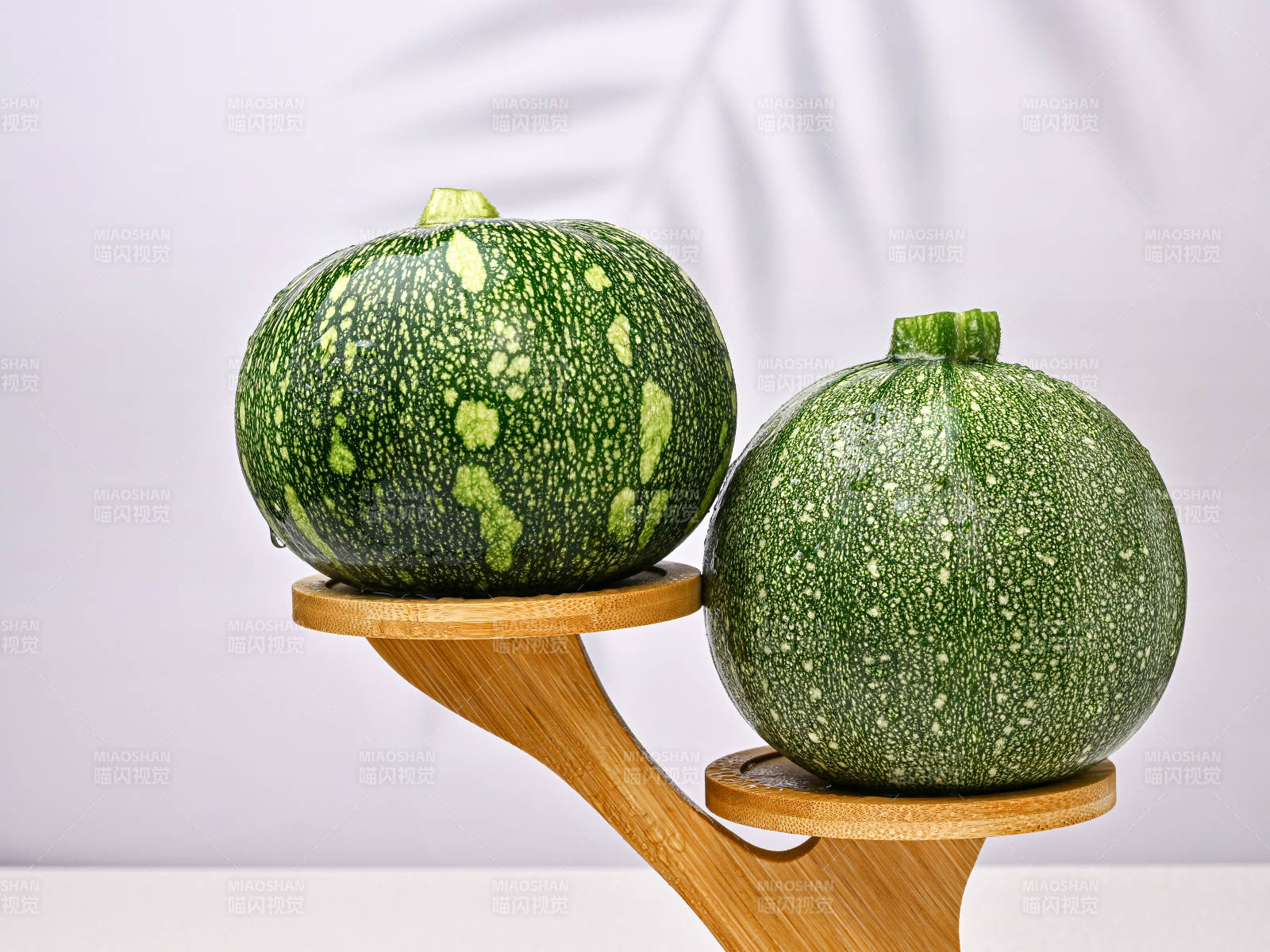 翠绿斑点小南瓜展示图片