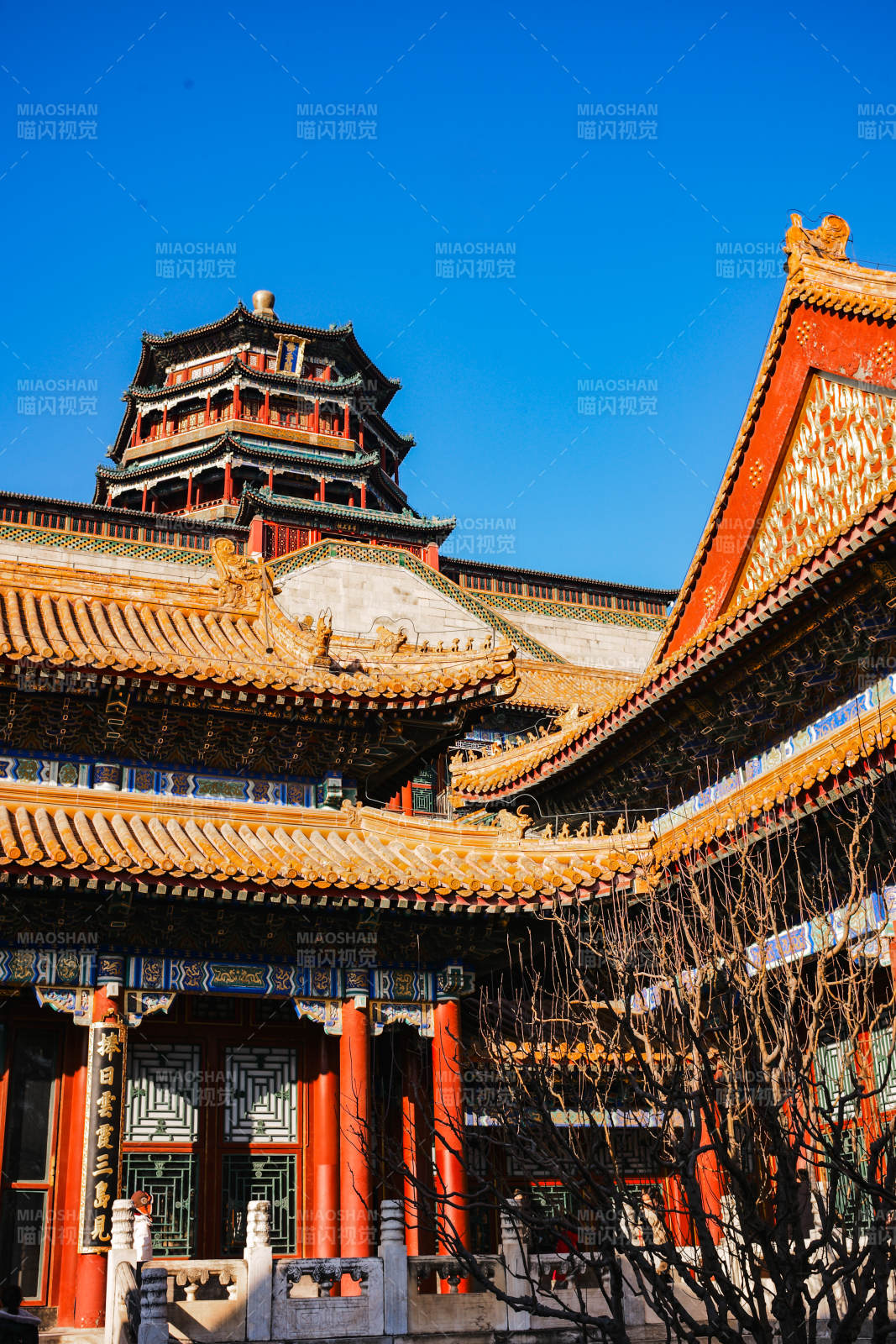 颐和园春景图片