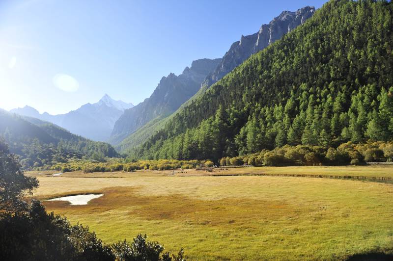 亚丁稻城山间草甸风光图片
