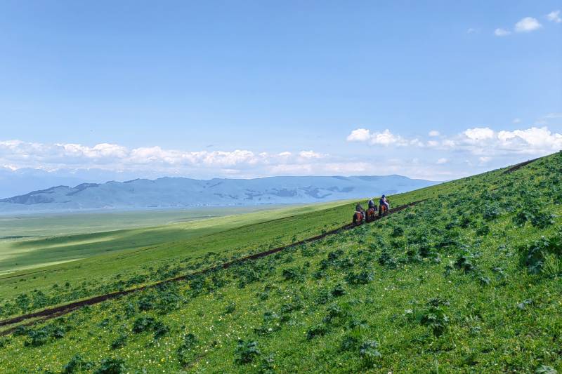那拉提草原上的骑行者图片
