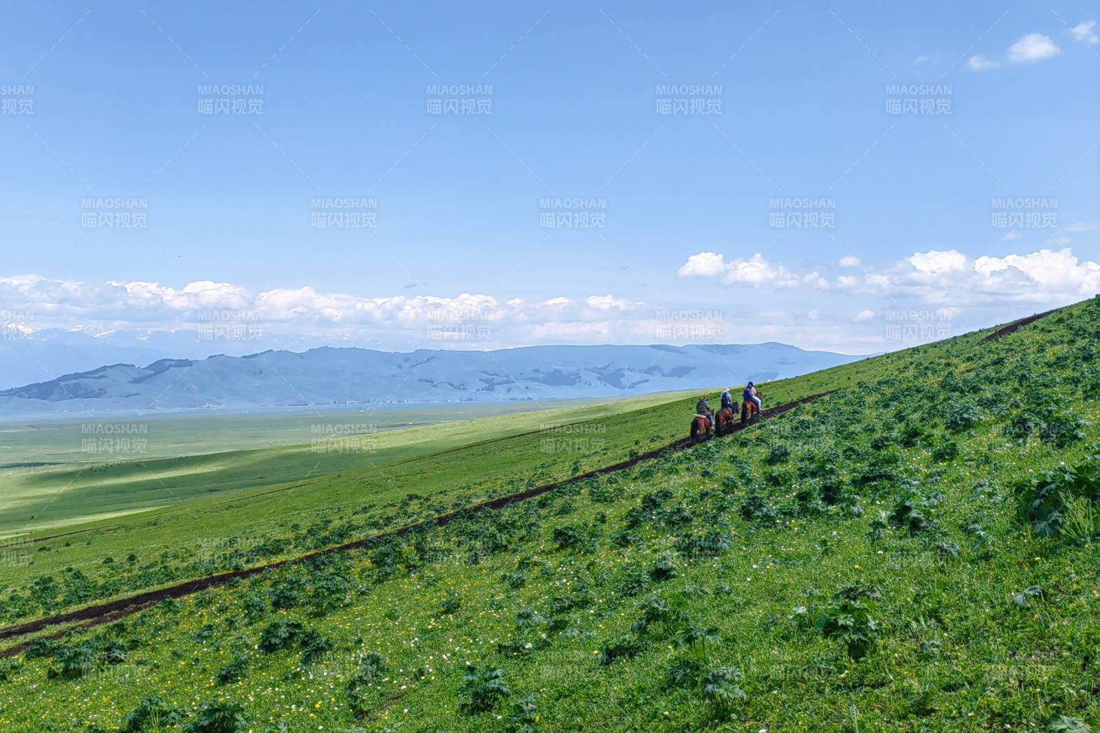 那拉提草原上的骑行者图片