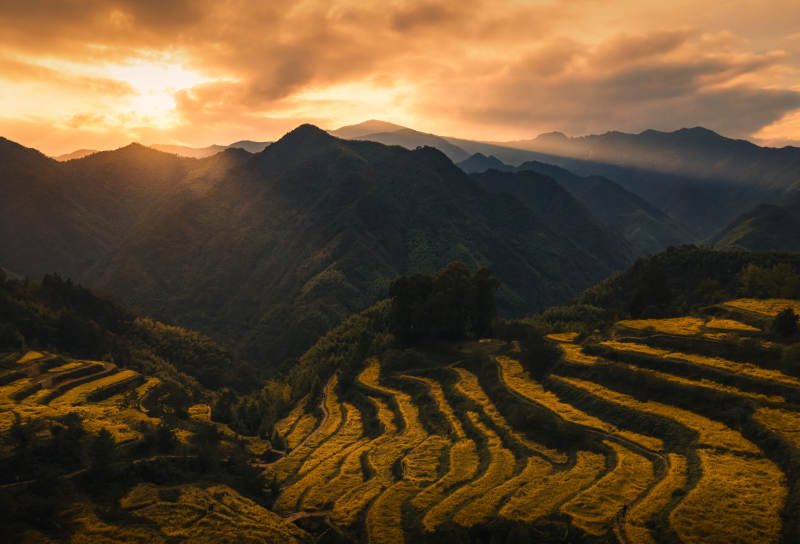 临安指南村梯田日落图片