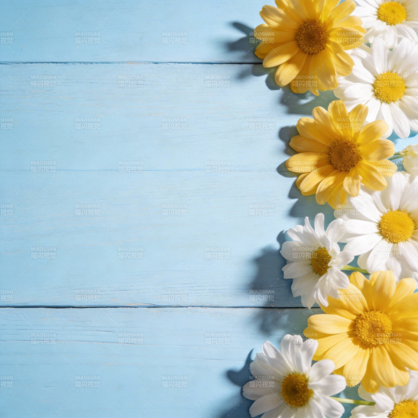 雏菊与木板的静谧图片
