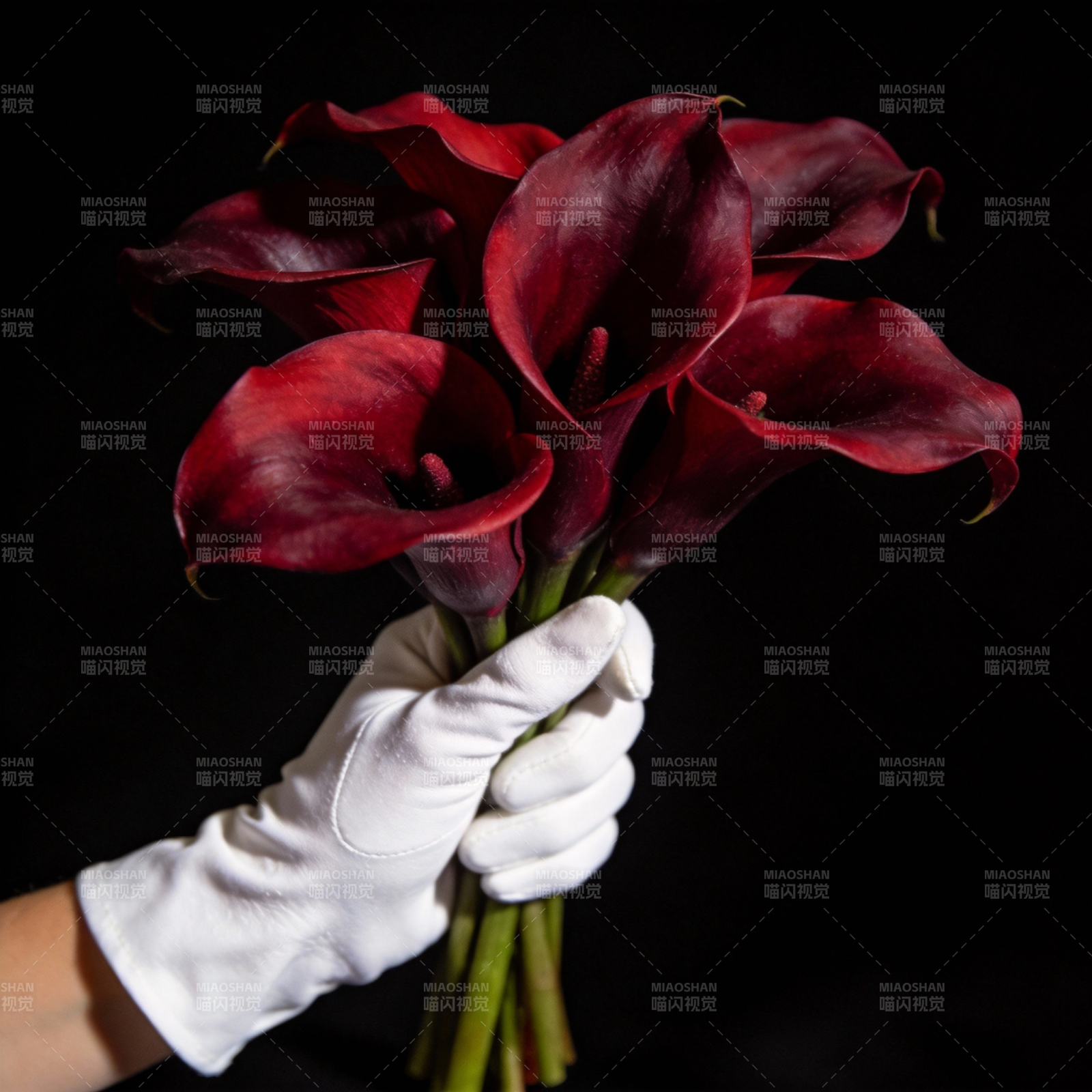 红花白手套图片