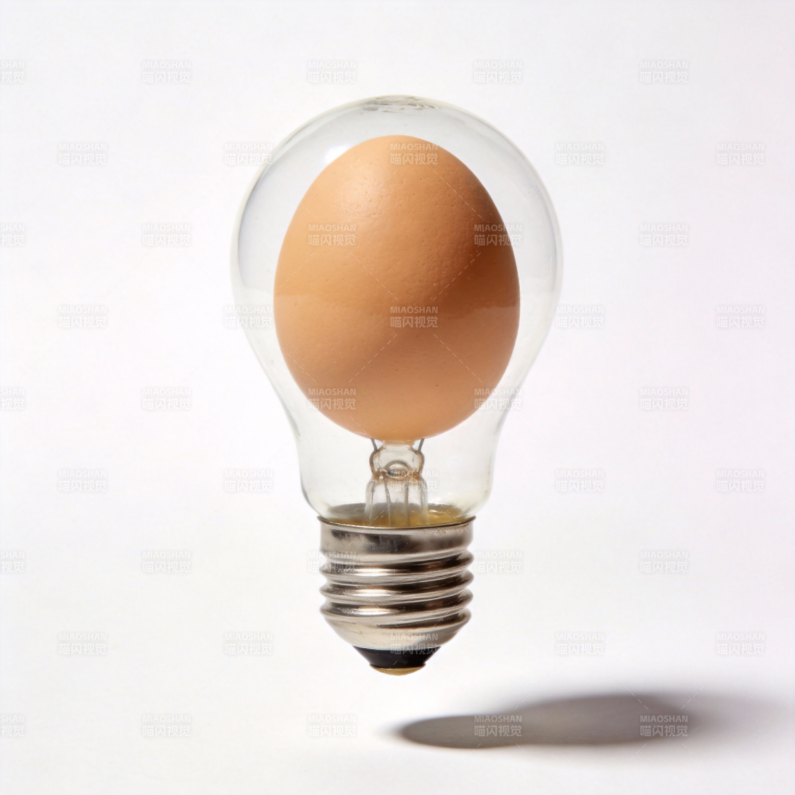 灯泡中的鸡蛋图片