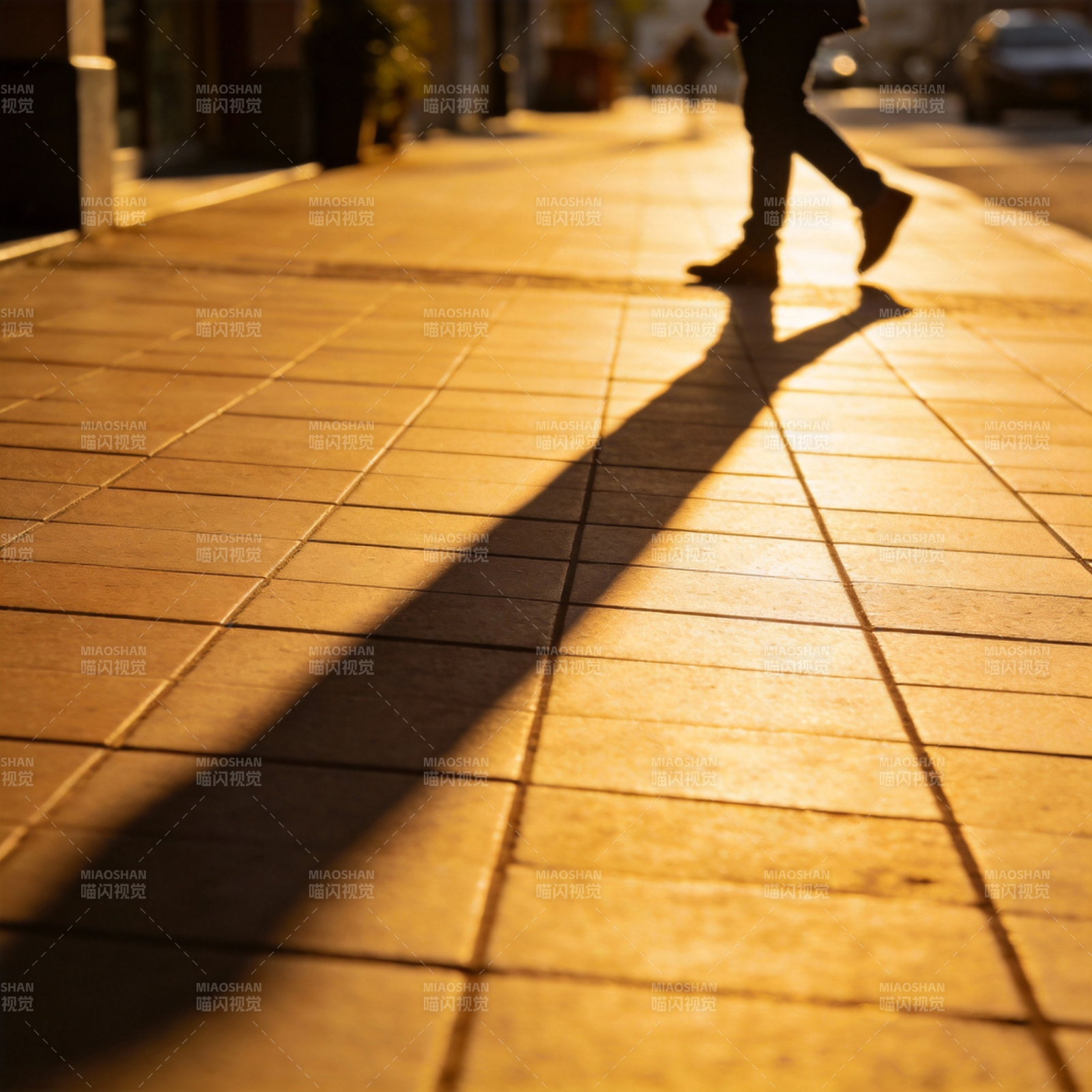 夕阳下的长影图片