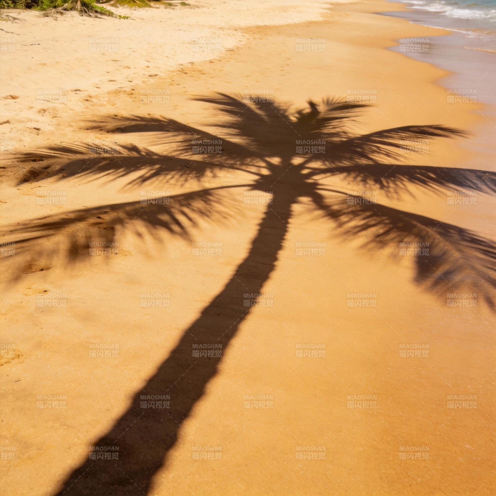 椰影沙滩图片
