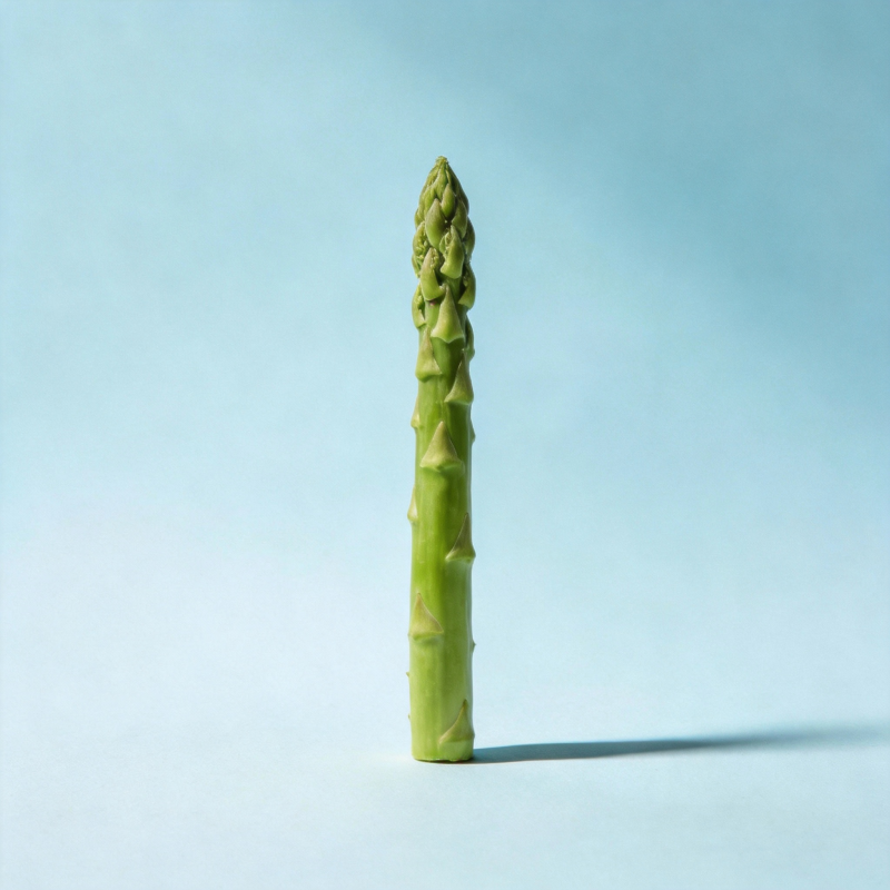 翠绿芦笋立影图片