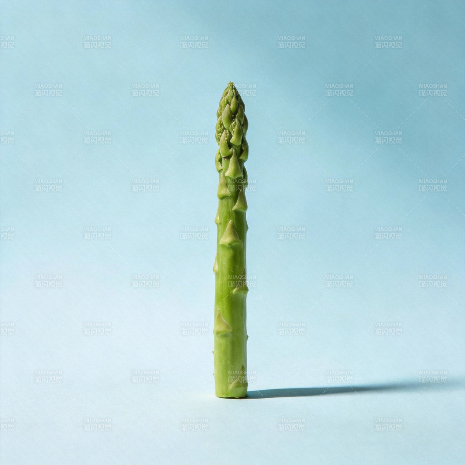 翠绿芦笋立影图片