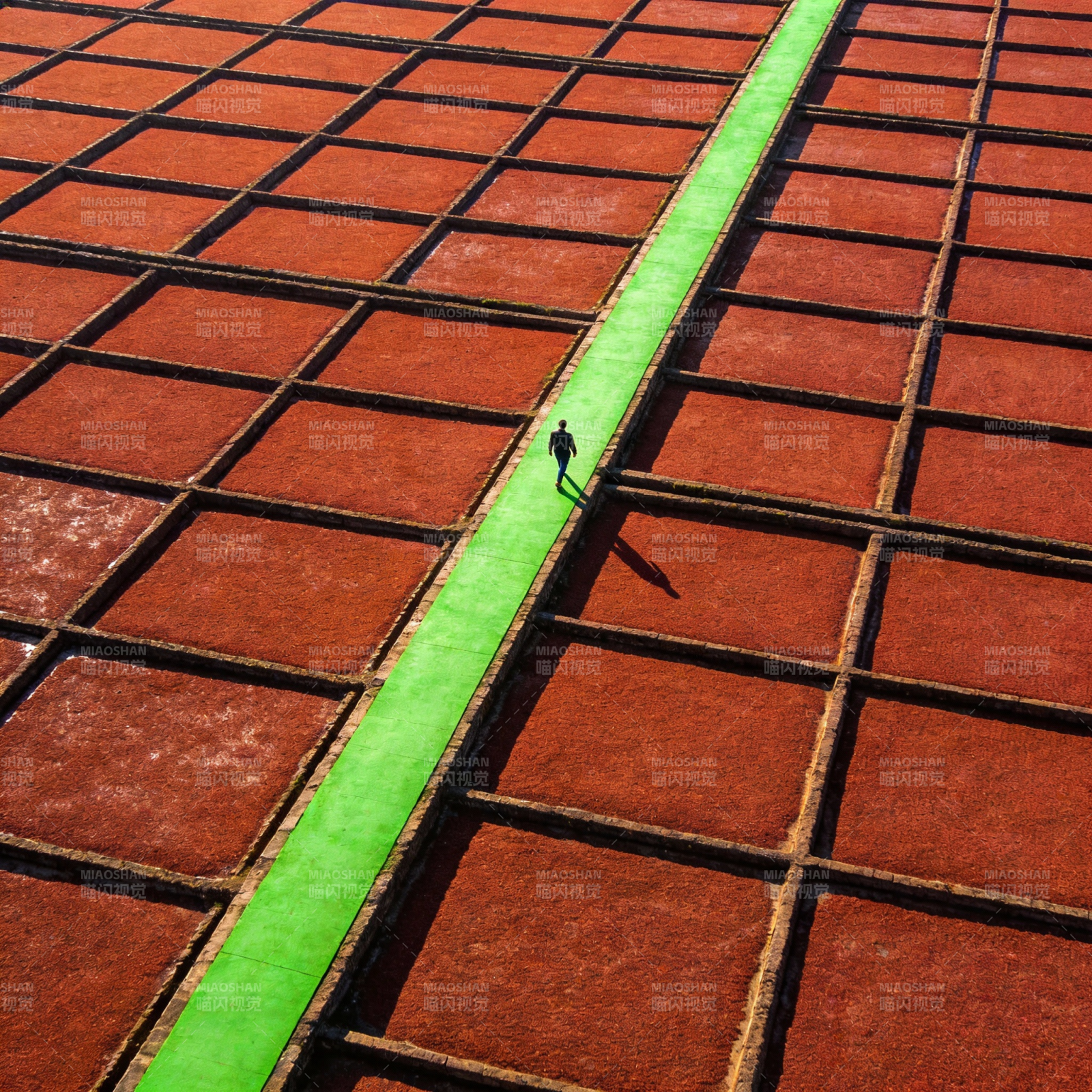 红土绿道行影图片