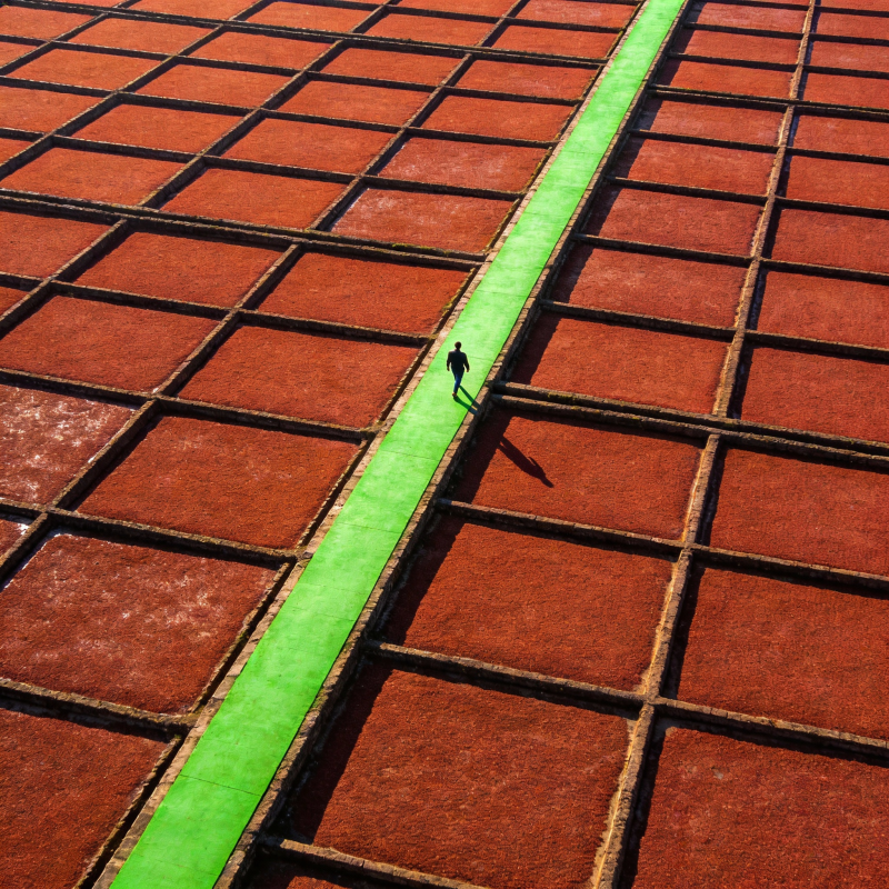 红土绿道行影图片