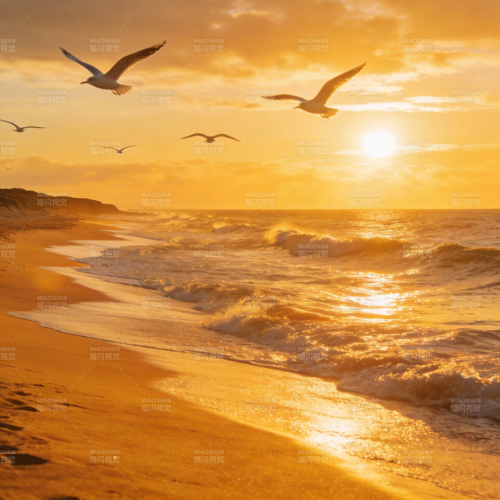 夕阳海鸥共舞图片