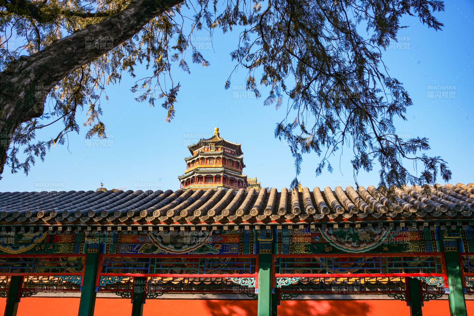 颐和园古塔映蓝天图片