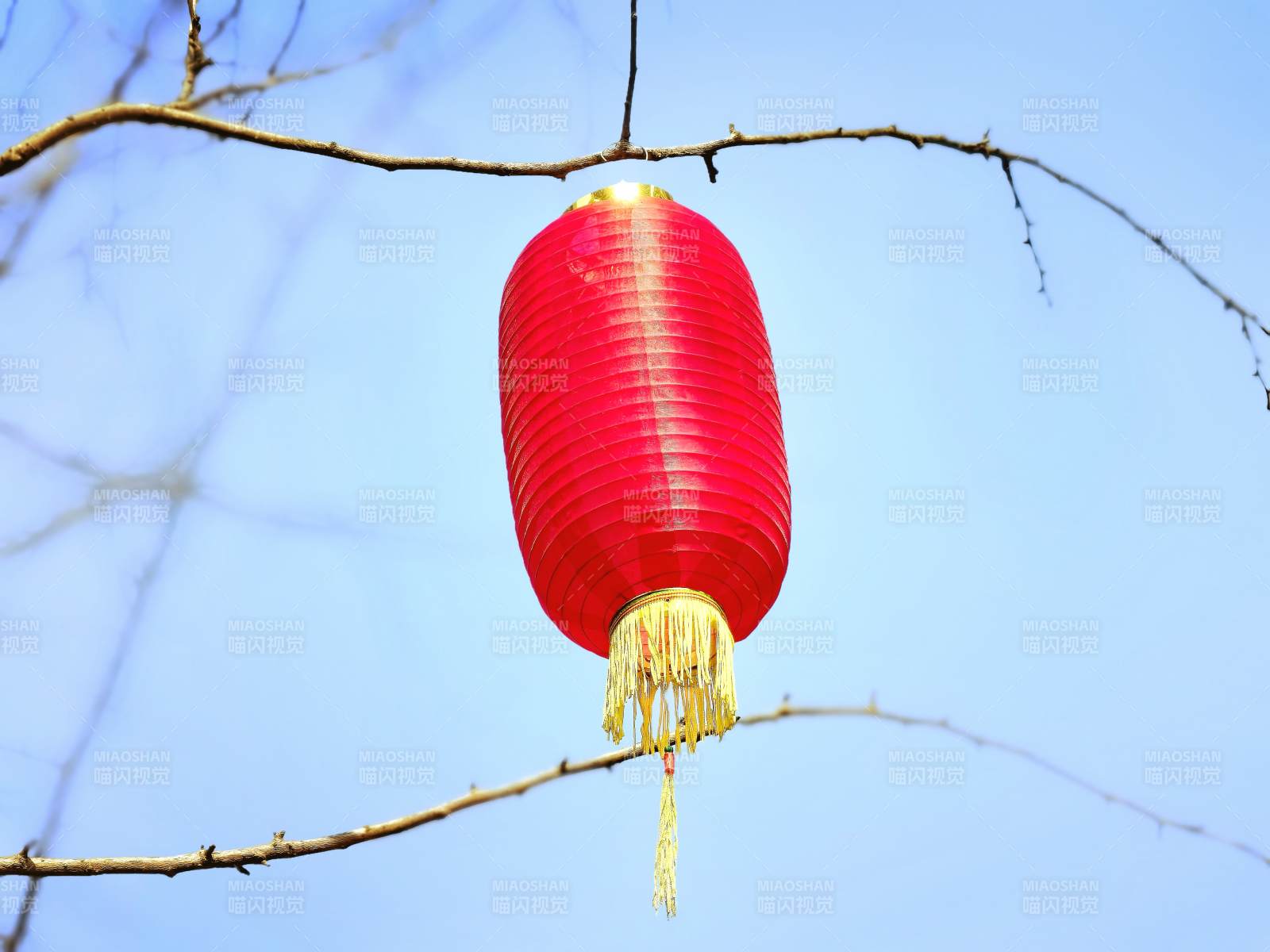 红灯笼挂枝头图片