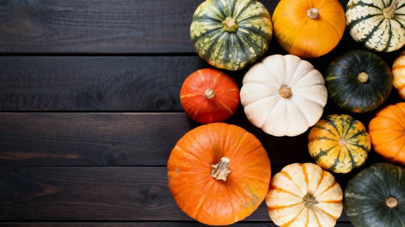 多彩南瓜秋日静物图片