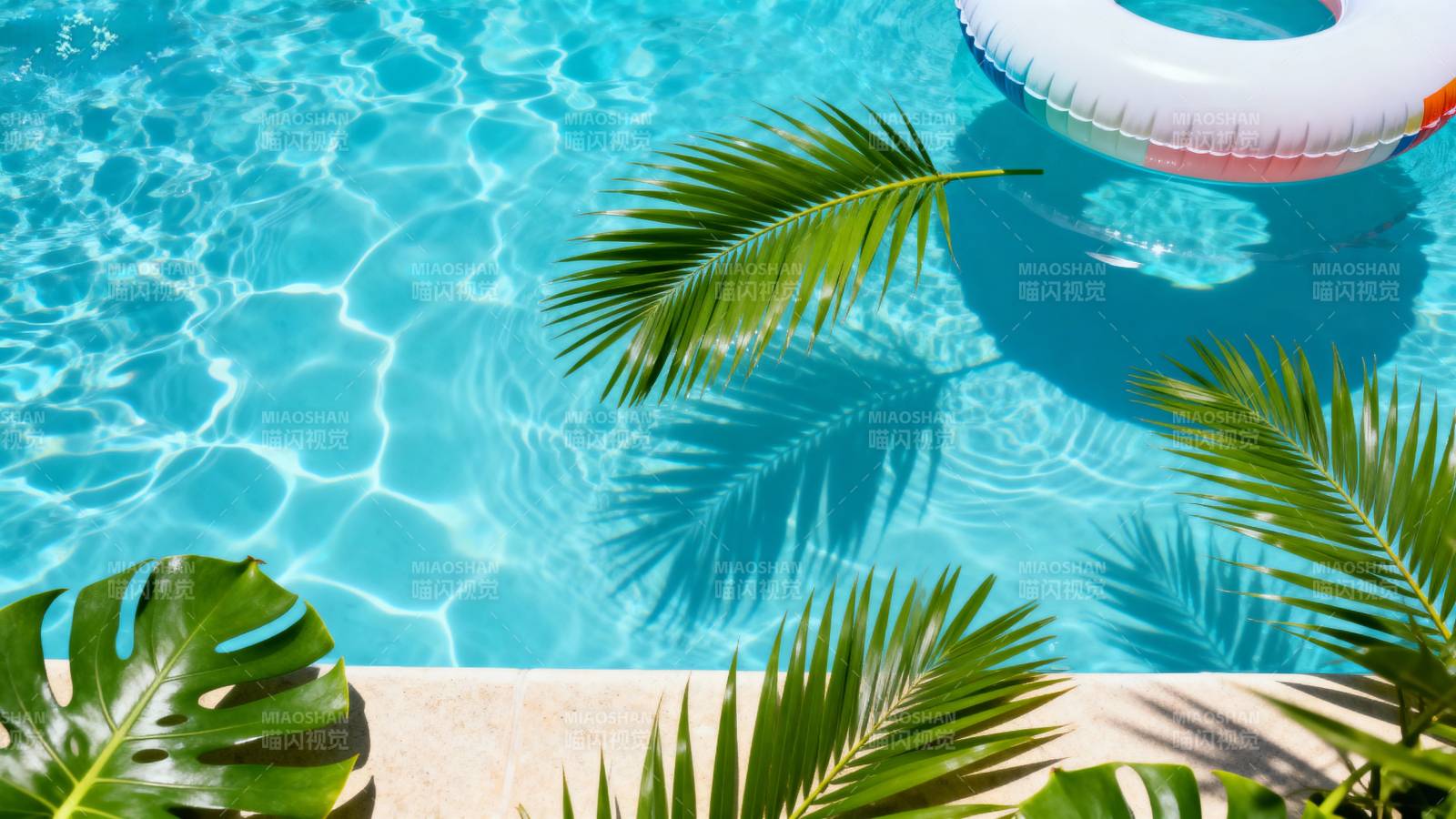 泳池绿叶清凉一夏图片