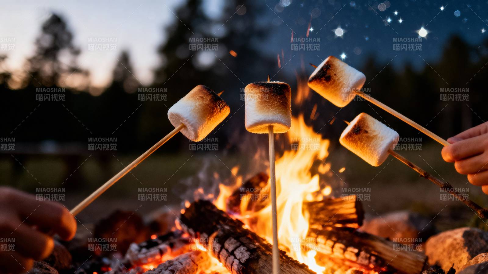 篝火烤棉花糖图片