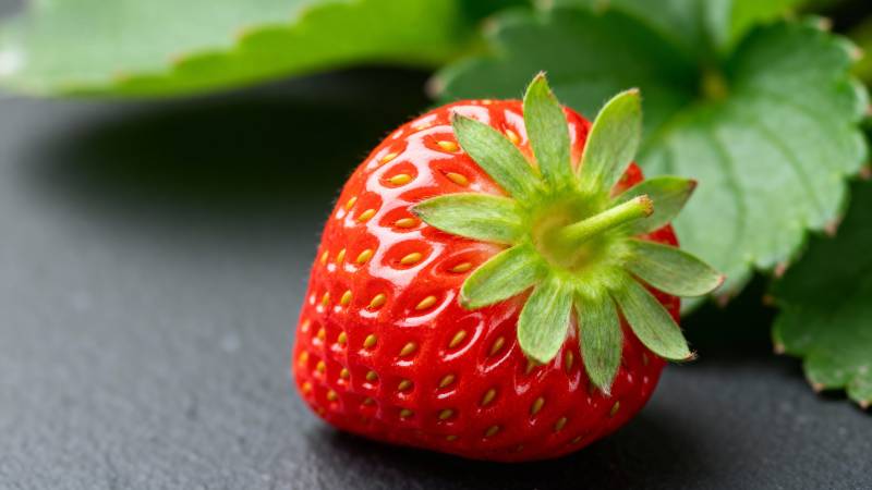 鲜红草莓特写图片