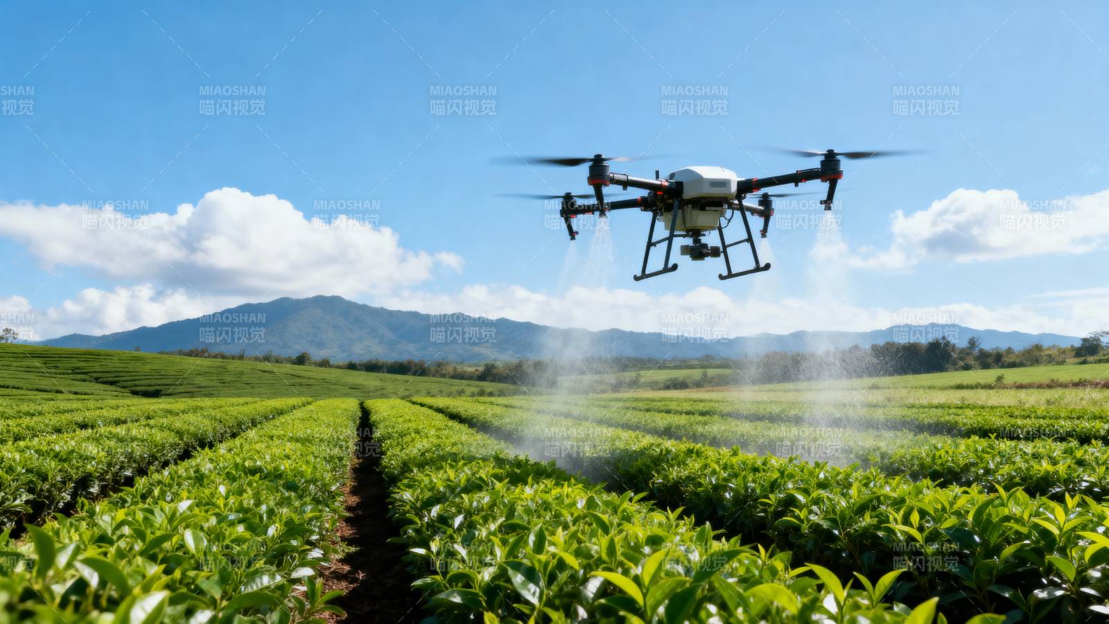 无人机喷洒茶园图片