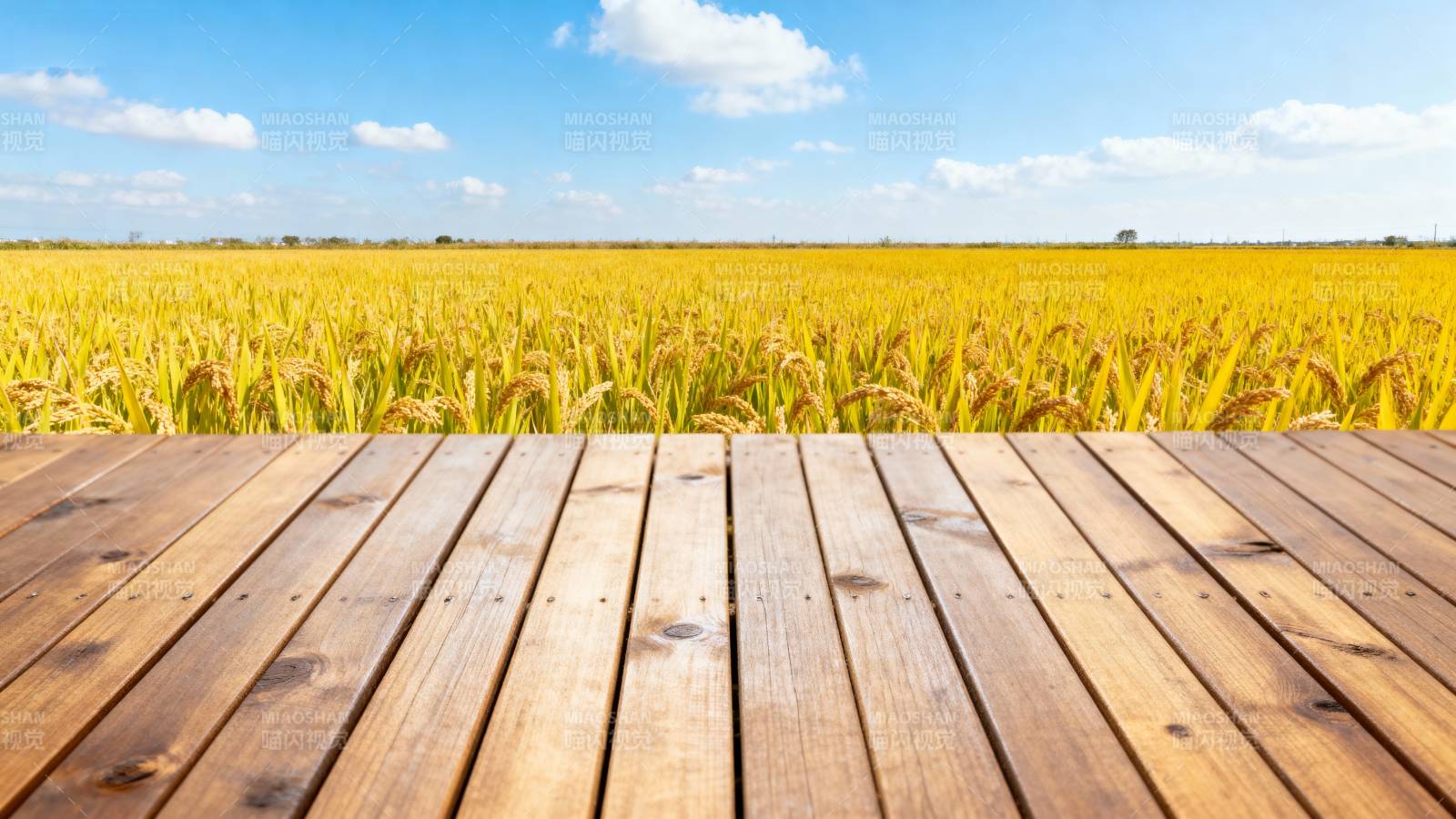 金田木栈道图片