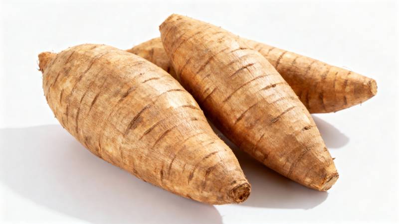 新鲜木薯根茎图片