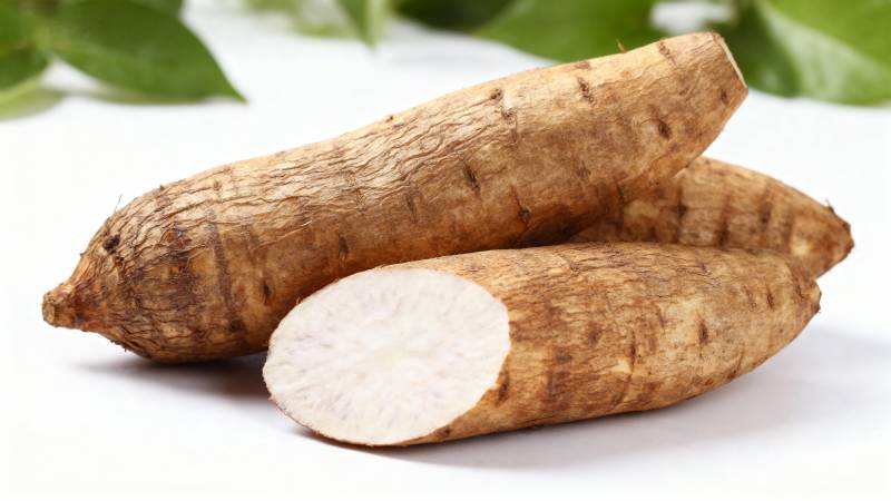 新鲜木薯特写图片