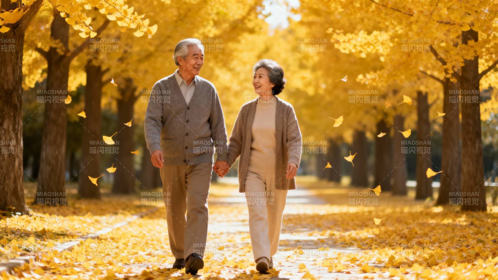 秋日相伴 金叶纷飞图片