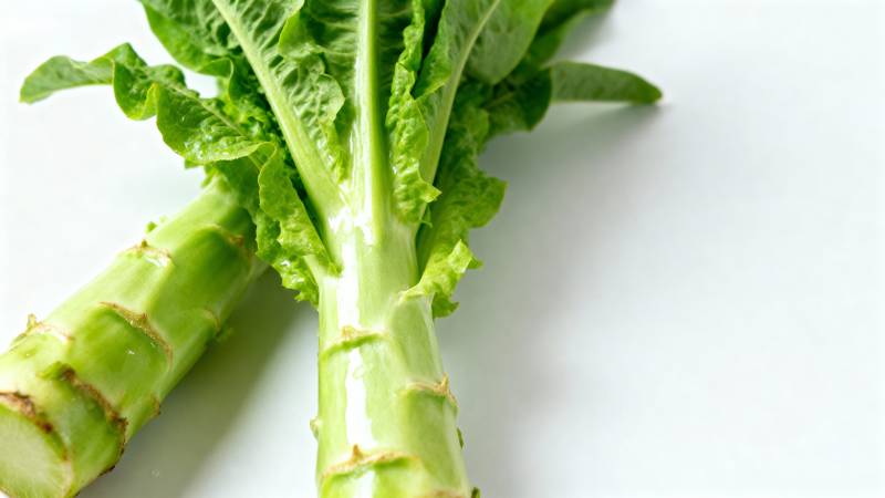 新鲜莴苣特写图片