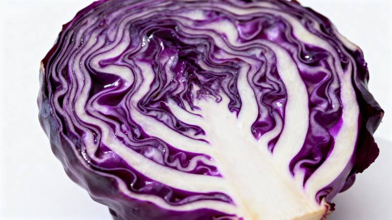 紫甘蓝切面特写图片