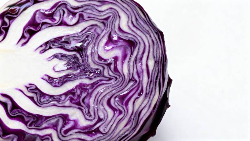 紫甘蓝切面纹理图片