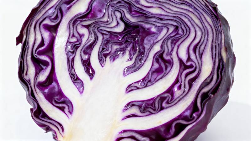 紫甘蓝切面艺术图片