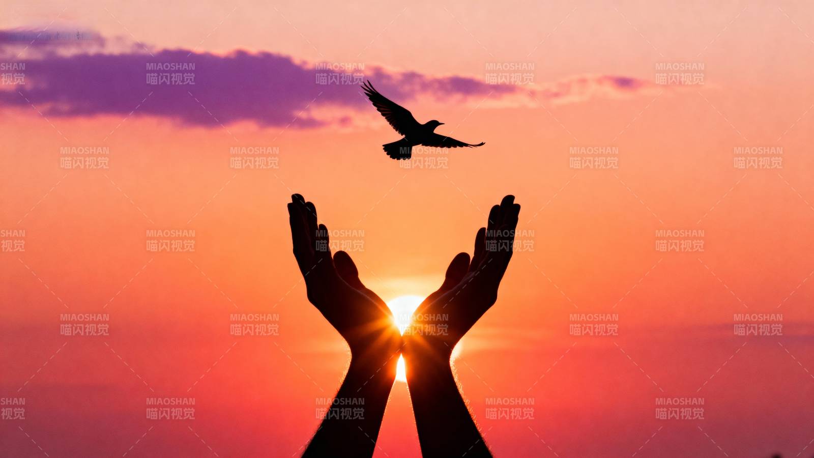 双手托起飞鸟剪影图片