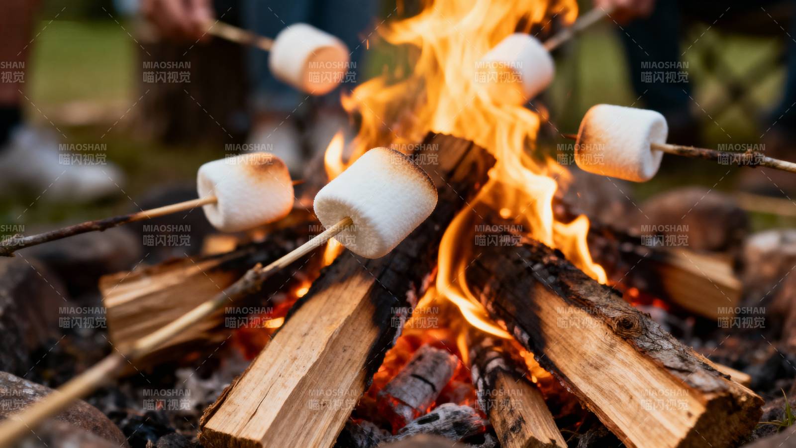 篝火烤棉花糖图片