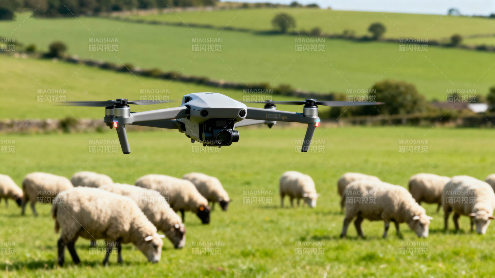 无人机牧羊场景图片