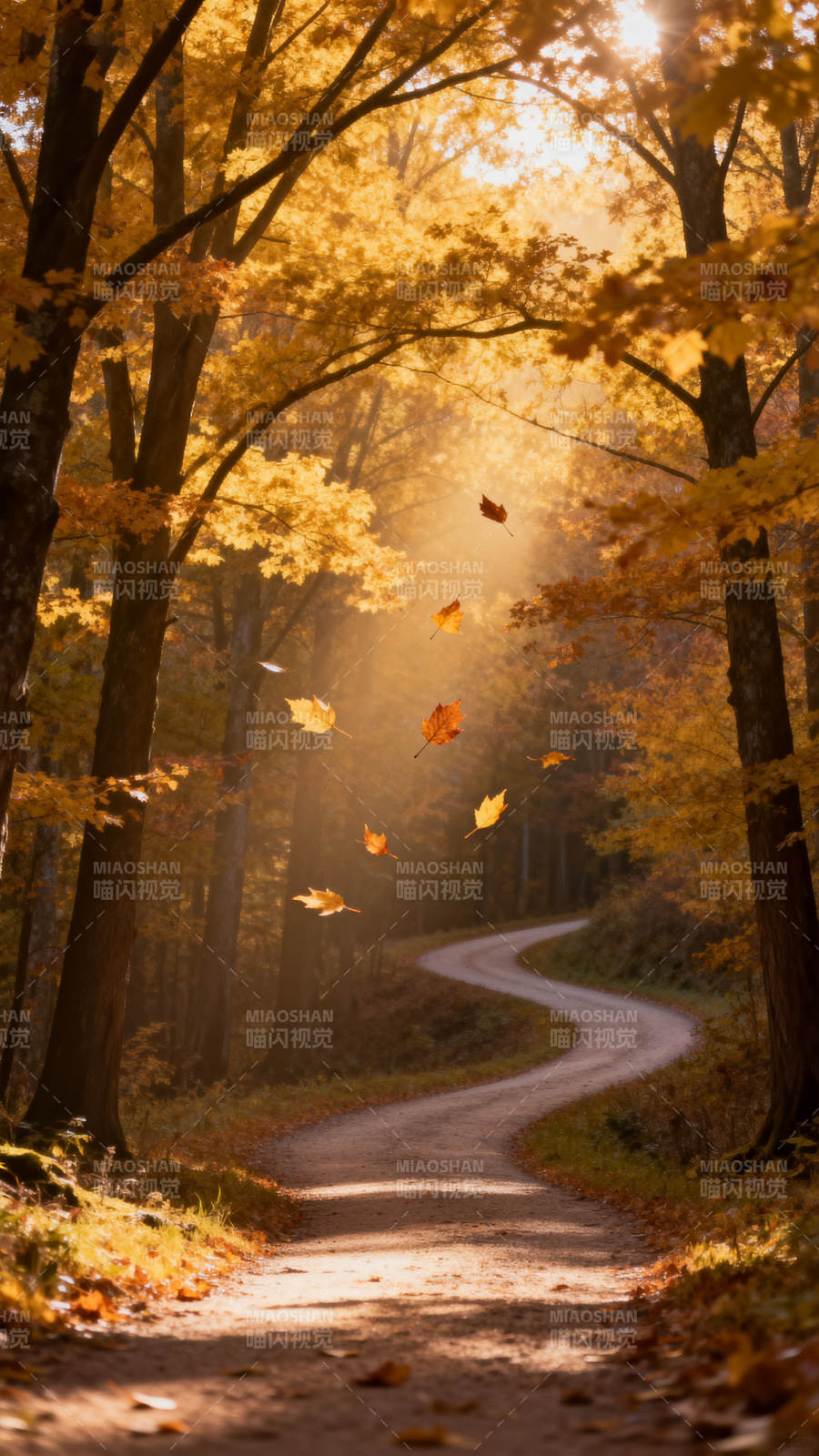 秋光小径图片